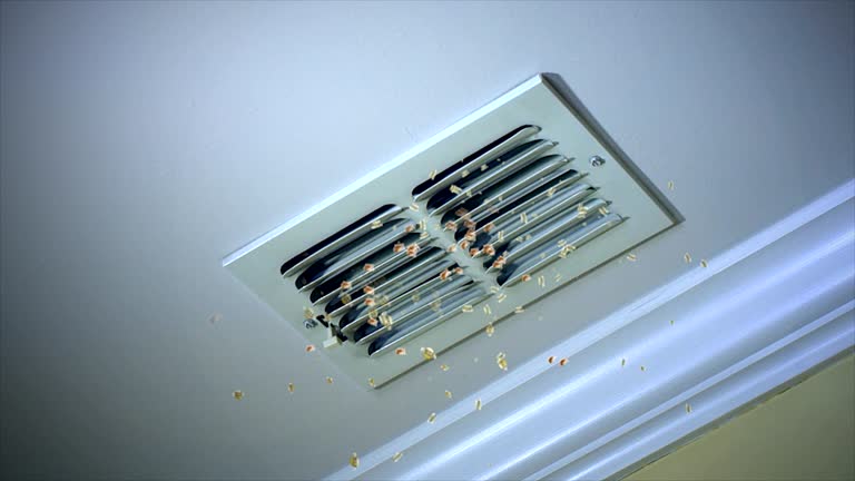 Best Commercial Air Duct Cleaning  in North St Paul, MN