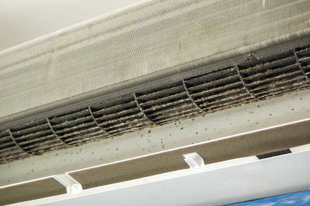 Air Duct Mold Removal in MN